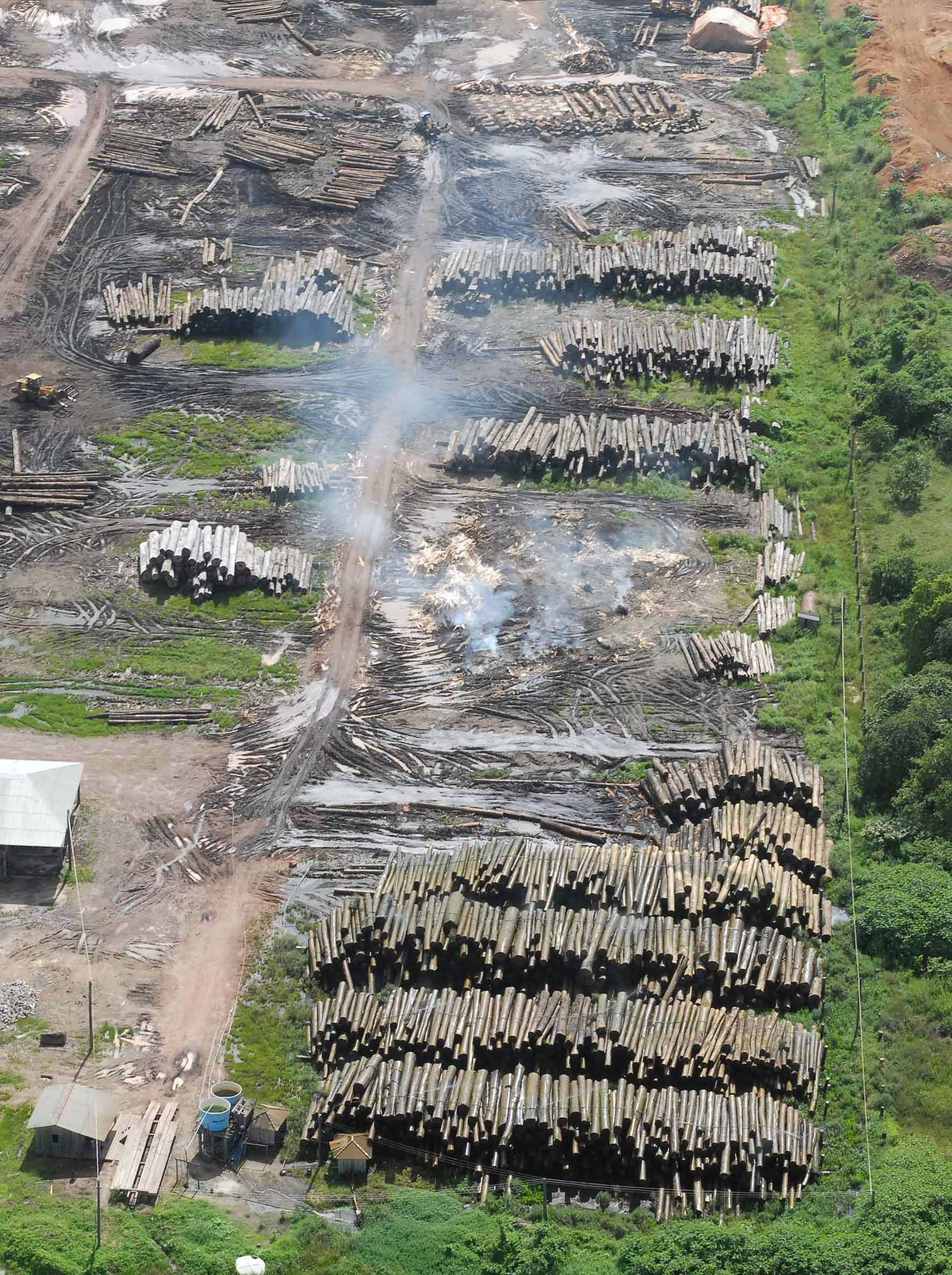 Tragédia anunciada: destruição da Amazônia será “catastrófica” para o  planeta, alertam cientistas – Jornal da USP