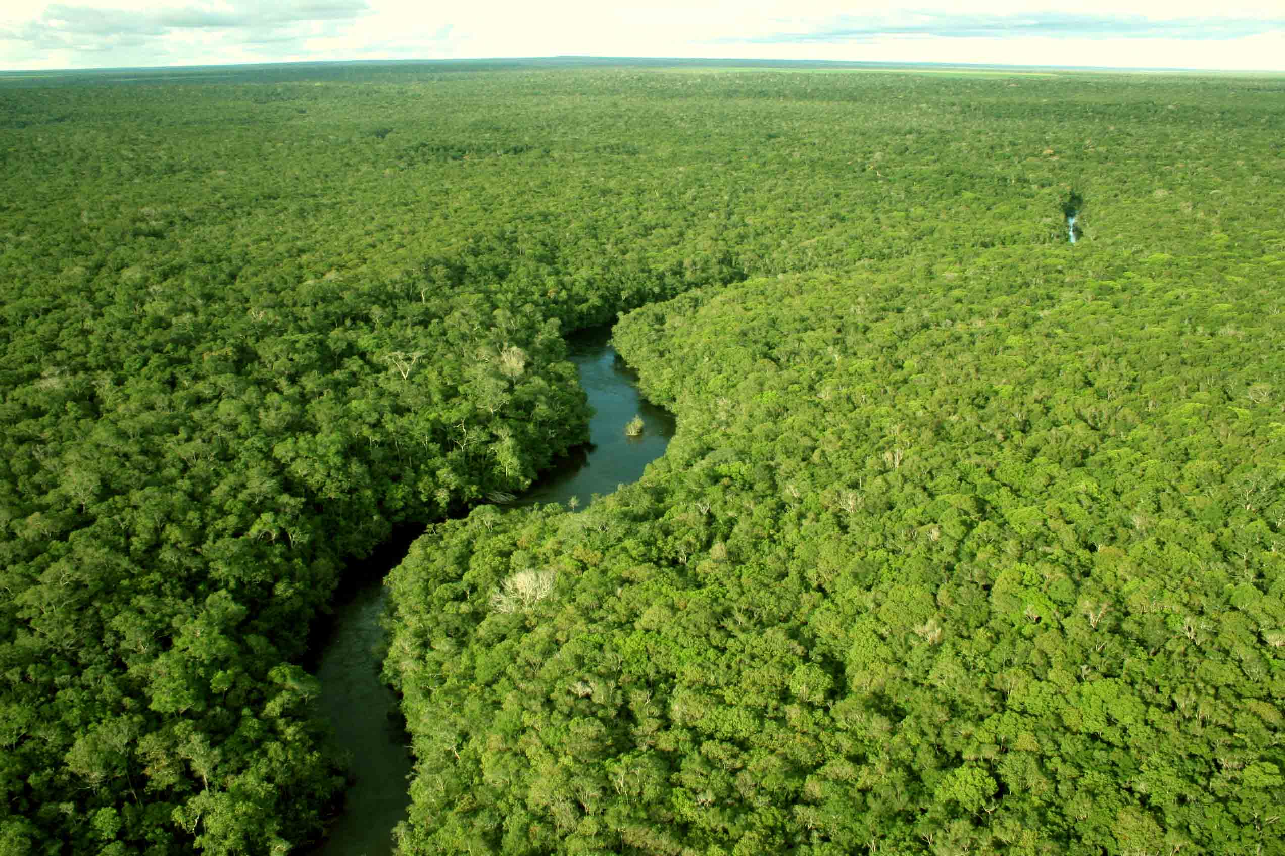 Arena da Amazônia - Wikipedia