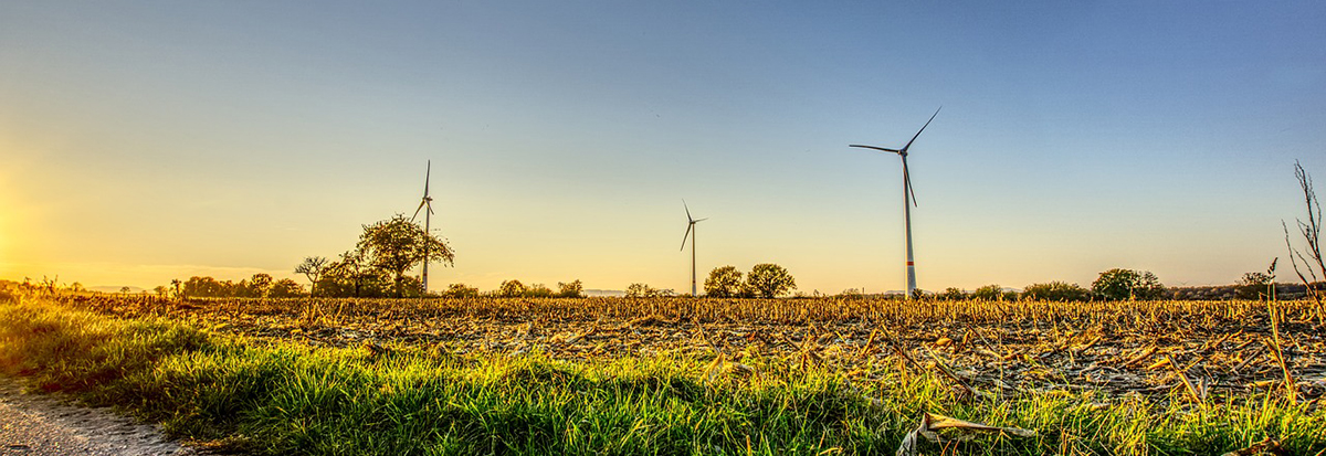 O longo caminho da transição energética - Instituto Humanitas