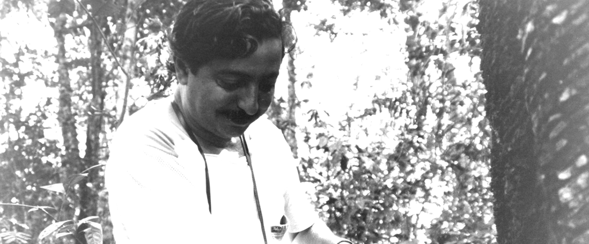 Legado de Chico Mendes agoniza com avanço da pecuária