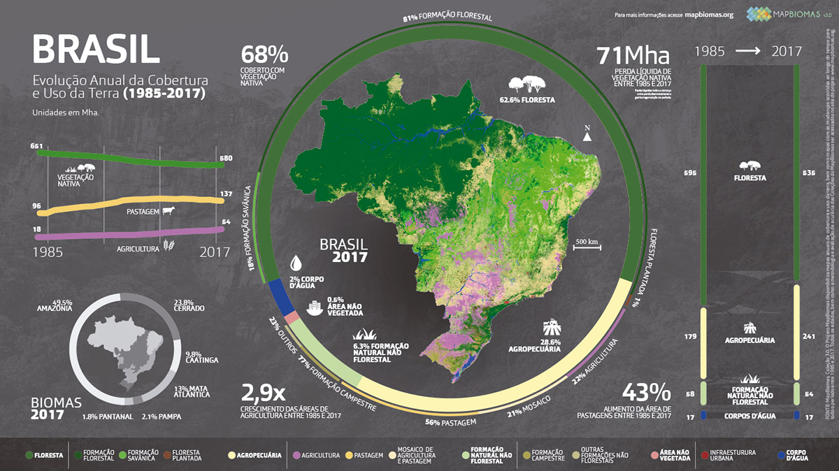 Projeto MapBiomas mapeia três décadas de mudanças na ocupação territorial  do Brasil - Instituto Humanitas Unisinos - IHU