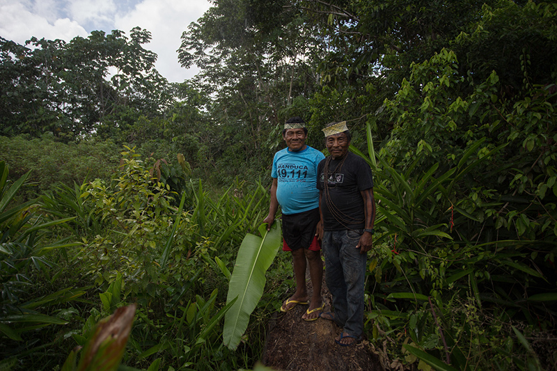 Bolsonaro pensa que é poderoso, como um deus, mas é qualquer um”, diz  cacique Kanamari - Amazônia Real