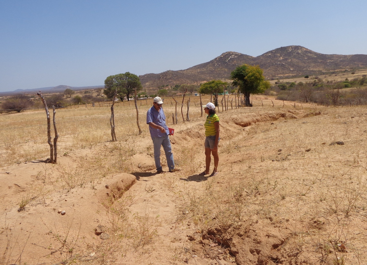 Pesquisador aponta falta de interesse político para recuperar áreas devastadas na região. Enquanto isso, ocupação urbana desordenada e agricultura predatória aceleram o processo de desertificação