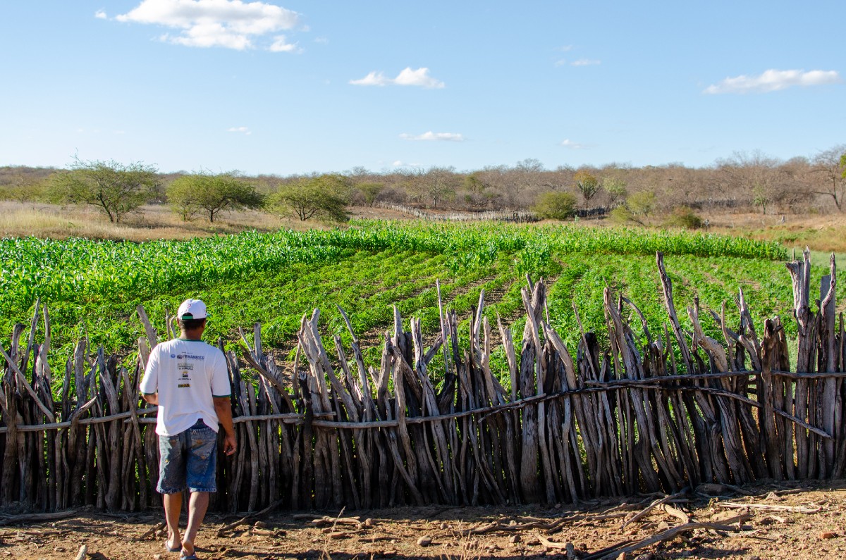 Pesquisador detalha como os modos de vida de pequenos produtores do sertão, apesar de preteridos pelo poder público, resistem e revelam melhor exemplo de relação entre ser humano e ambiente