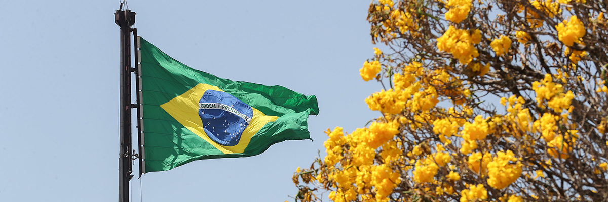 199 anos. Sete de setembro e um Brasil entregue — a quem? - Instituto  Humanitas Unisinos - IHU