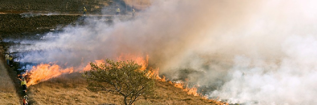 90% dos focos de incêndio estão na Amazônia e no Cerrado, aponta  levantamento - Mídia NINJA