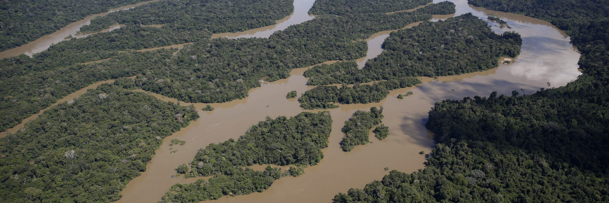 Observatório do ClimaAmazônia sufocada e o racha na ciência do clima - OC