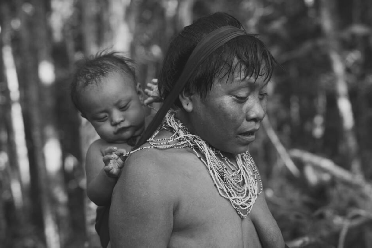 Tragédia Yanomami. “Sobrevivemos, gritamos, mas as crianças não ...