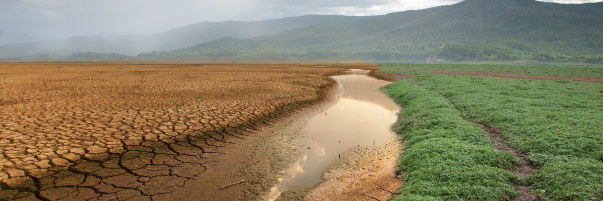 https://www.ihu.unisinos.br/images/ihu/2025/01/09_01_colapso_socioambiental_canva_pro.png