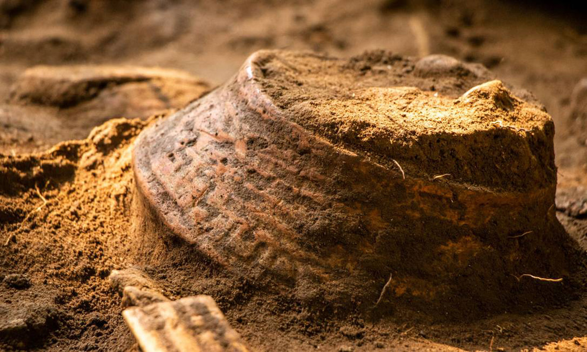 Trabalho arqueológico do professor e pesquisador contabiliza uma trajetória de mais de três décadas reunindo artefatos e evidências científicas para contar a história dos povos amazônicos