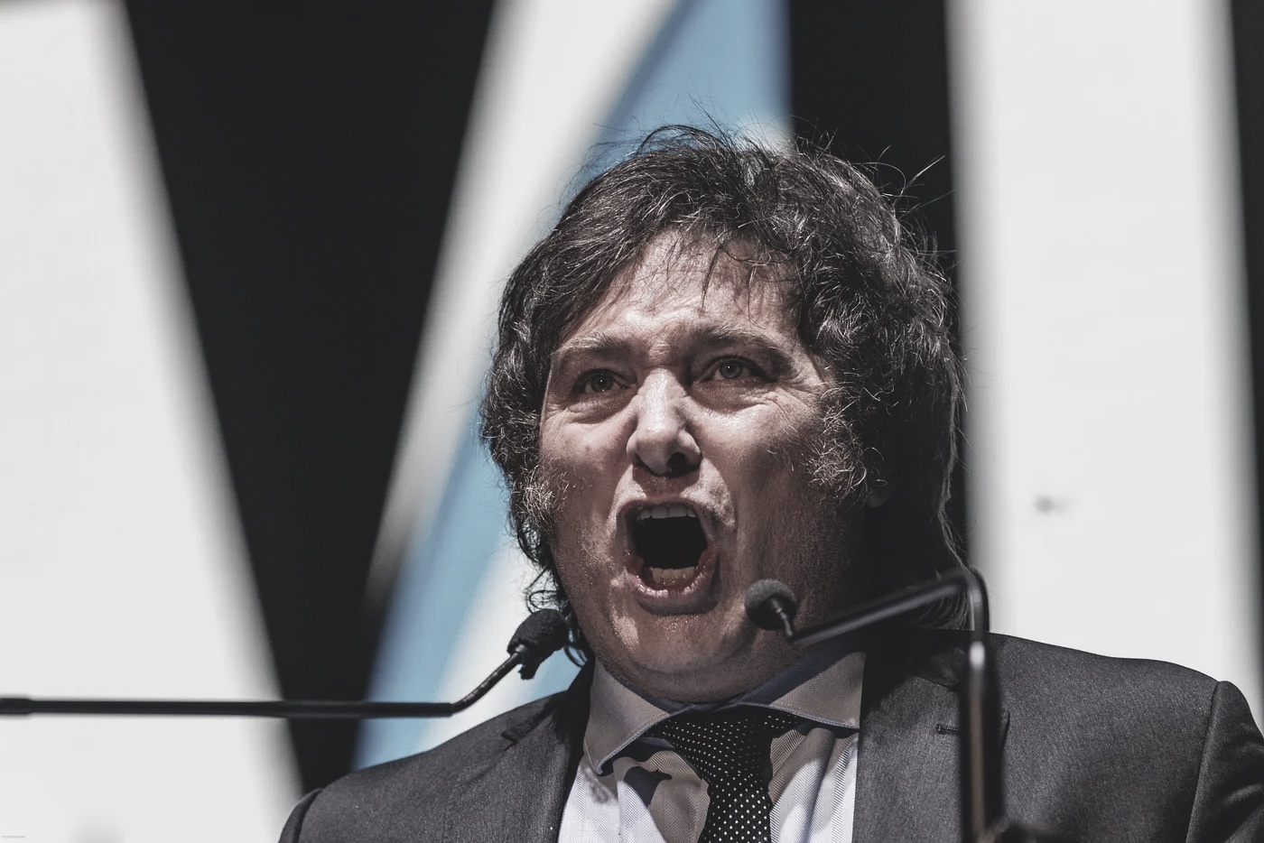 Modelo analítico do Norte Global para compreender o recrudescimento de novos autoritarismos não pode ser padronizado para nossa região do mundo, pondera a pesquisadora. Heterogeneidades de cada país devem ser levadas em consideração, observando a extrema-direita do Sul Global a partir do Sul Global