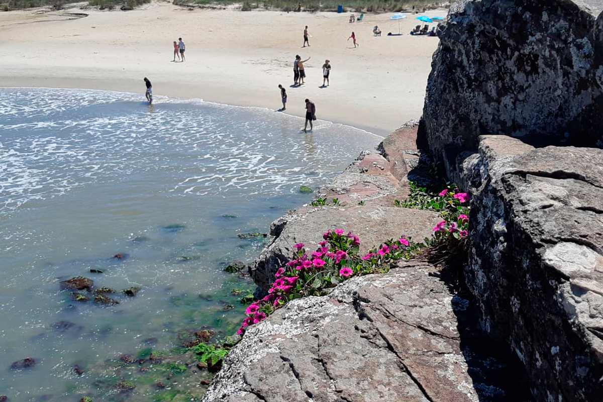 Interesses particulares descolados de apreciação profunda e respeitosa transformaram a cidade em um canteiro de obras que muitas vezes desconsideram o impacto ambiental e social, priorizando apenas o luxo e o lucro. História da cidade está se perdendo