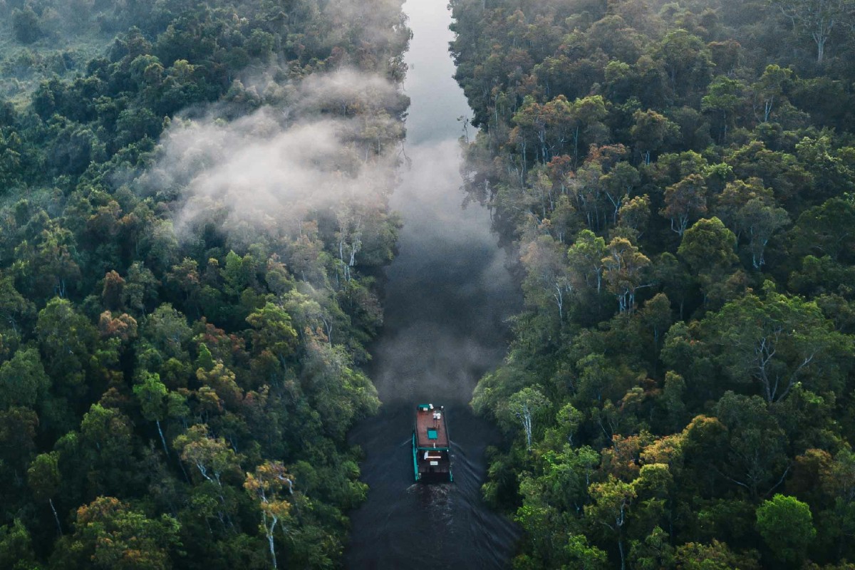 “Dados indicam que a Amazônia se aproxima cada vez mais de um ponto de não retorno, principalmente como resultado da combinação entre o desmatamento acumulado no sistema, as mudanças climáticas causadas pelo aquecimento global e os vários fatores de degradação florestal”, afirma o pesquisador