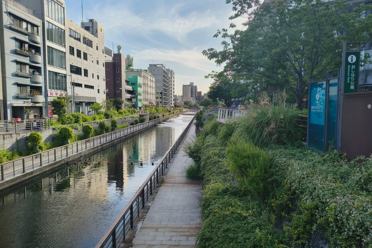 A partir de pesquisa realizada no Japão, propõe-se compreender a resiliência climática como construção ética, educativa e cultural, e não apenas tecnológica. Em diálogo com a hermenêutica, é preciso cultivar a memória, a educação permanente e a participação comunitária