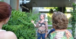 Oficina de Plantas Medicinais abre agenda Cultural da Ecofeira Unisinos em 2019