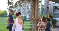 Ecofeira Unisinos promove oficina de plantas comestíveis e medicinais