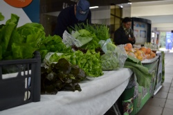 EcoFeira Unisinos tem espaço para o debate e encaminhamento de ações transformadoras