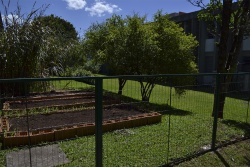 Ecofeira Unisinos apoia Horta Orgânica na Universidade