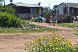 A transdisciplinaridade pela moradia digna na Ocupação Steigleder